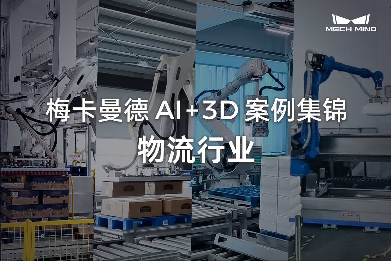 梅卡曼德AI+3D案例集錦 | 物流行業
